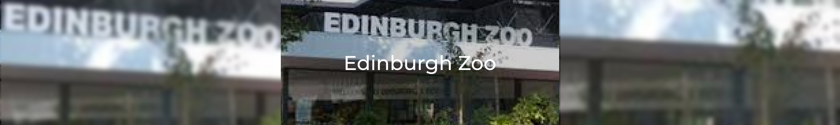 edinburgh zom